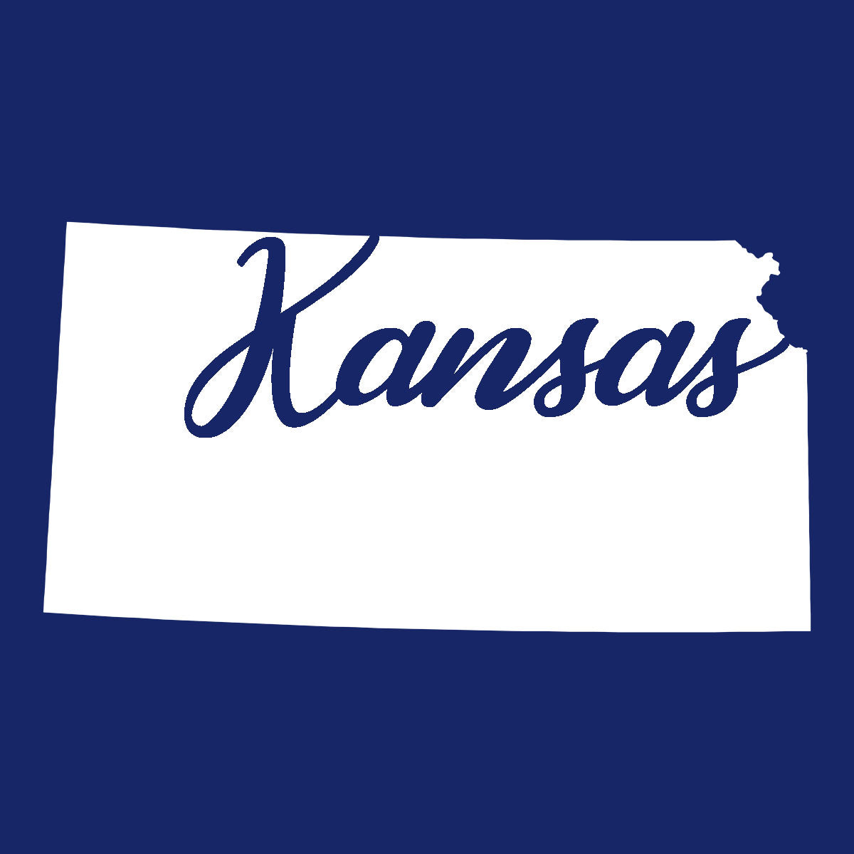 US States Fused Glass 4" Single Coaster - Rainbow Pride or Single Color Background - made to order