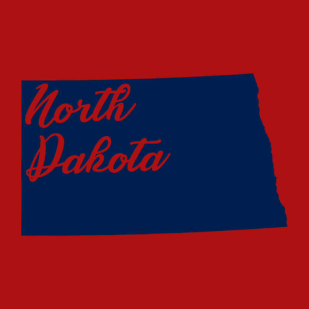 US States Fused Glass 4" Single Coaster - Rainbow Pride or Single Color Background - made to order