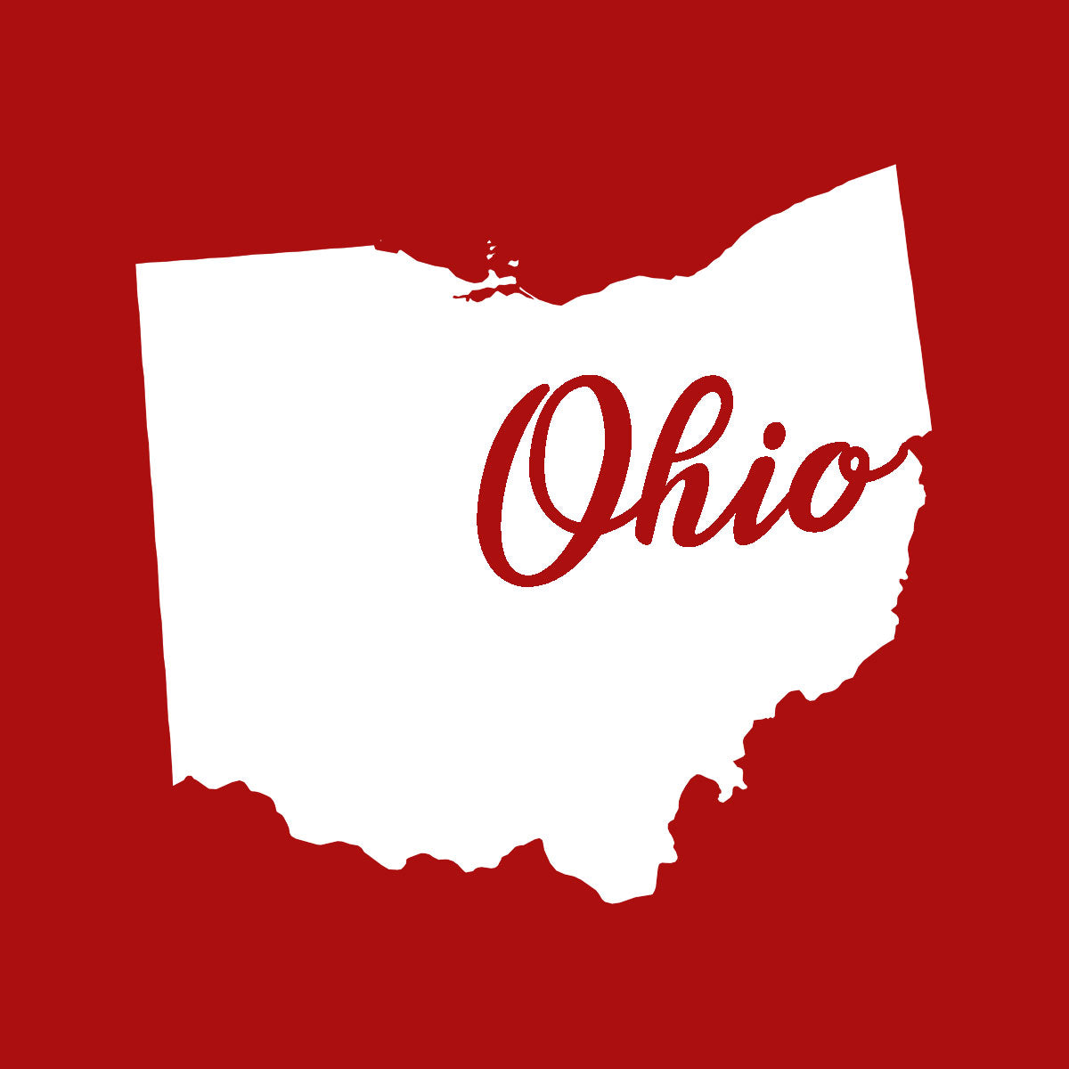 US States Fused Glass 4" Single Coaster - Rainbow Pride or Single Color Background - made to order