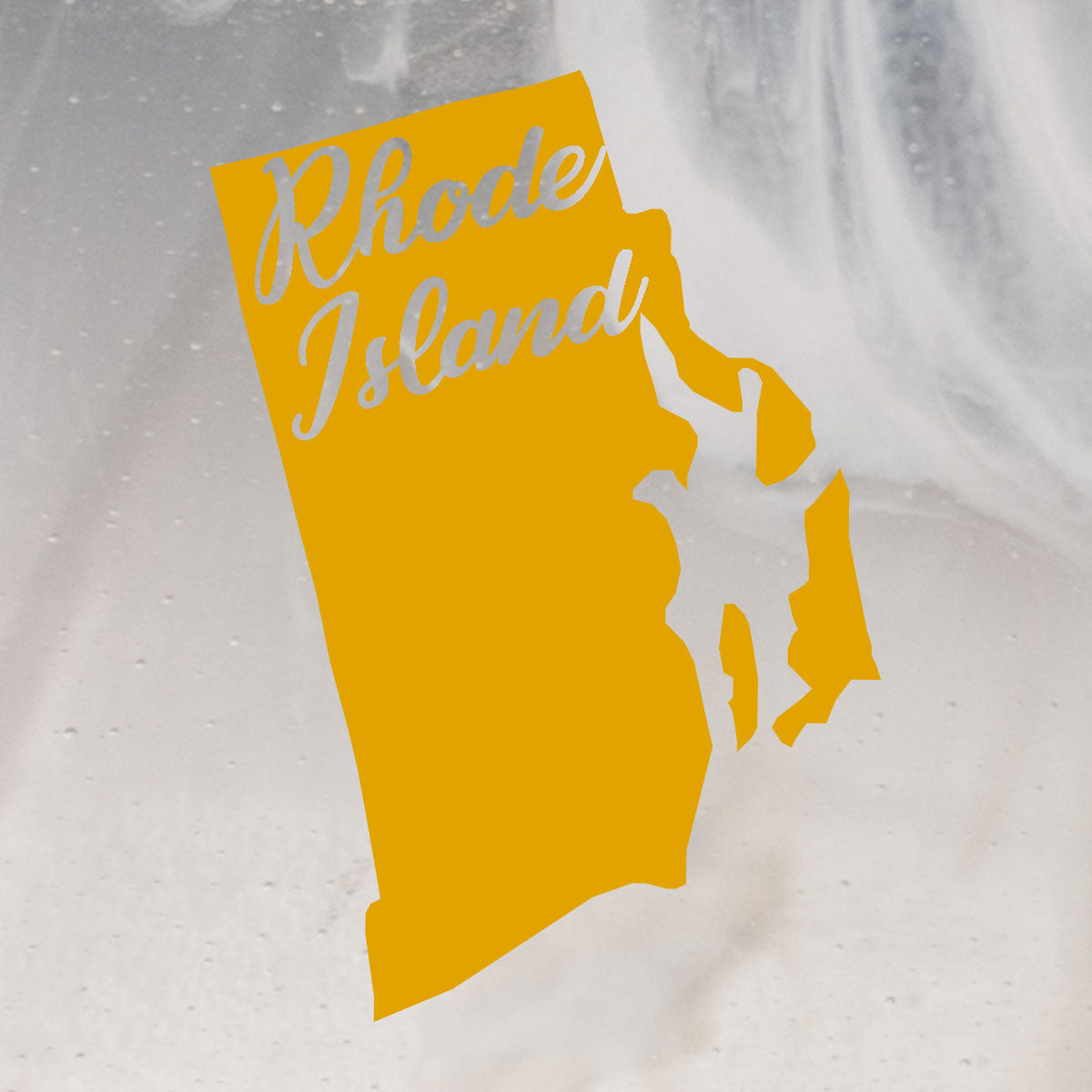 US States Fused Glass 4" Single Coaster - Rainbow Pride or Single Color Background - made to order