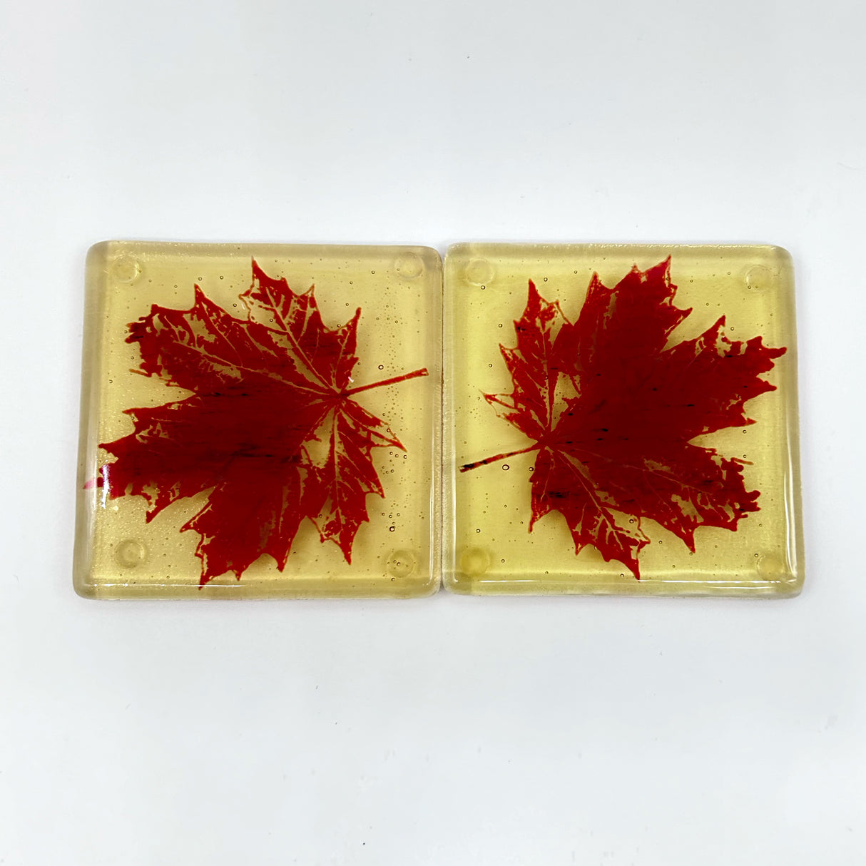 Maple Leaves Handmade Fused Glass 4" Coaster 2-pack