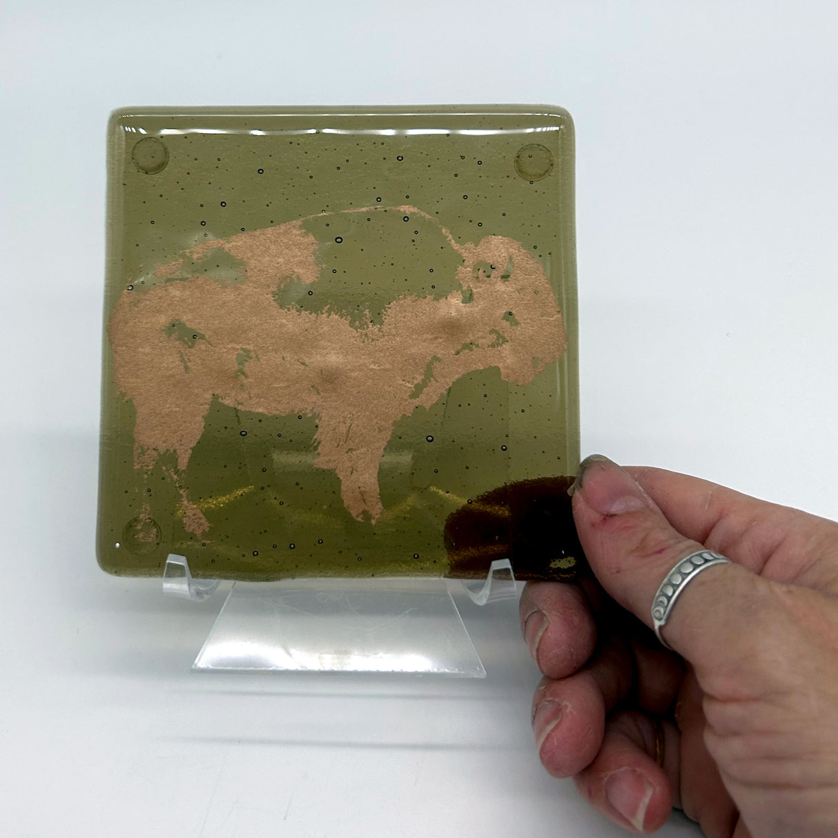 Buffalo Fused Glass 4" Single Coaster