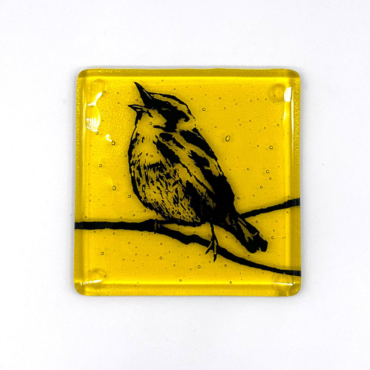 Birds | Warbler Fused Glass 4" Single Coaster