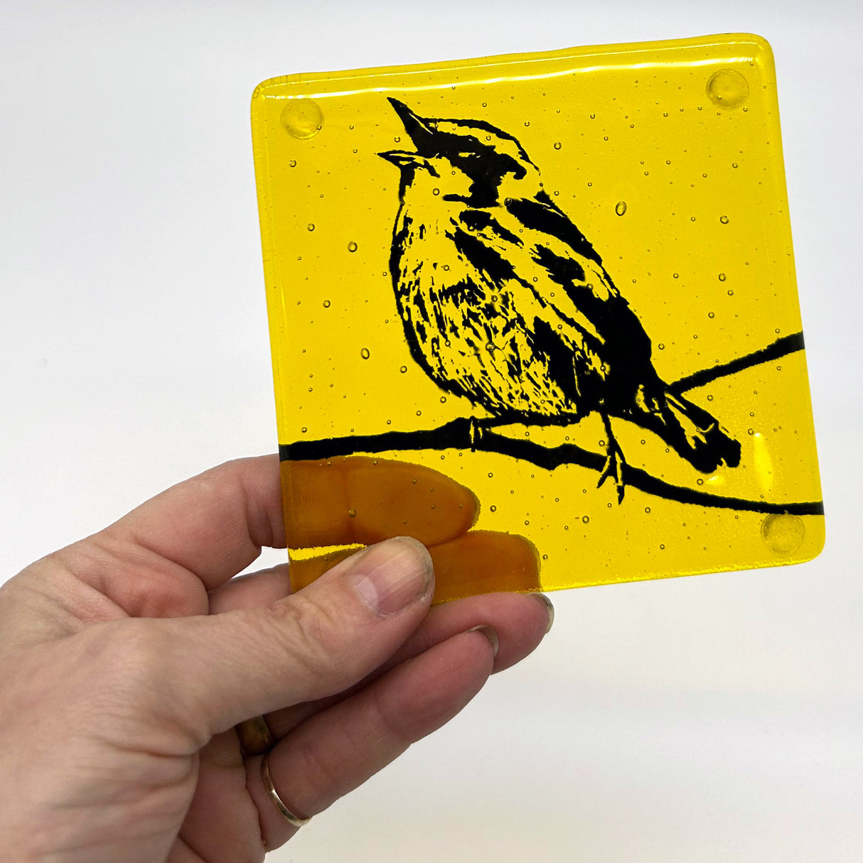Birds | Warbler Fused Glass 4" Single Coaster