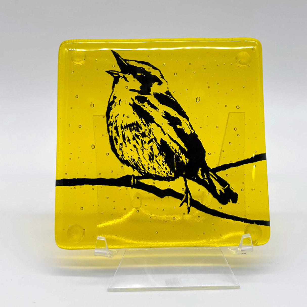 Birds | Warbler Fused Glass 4" Single Coaster