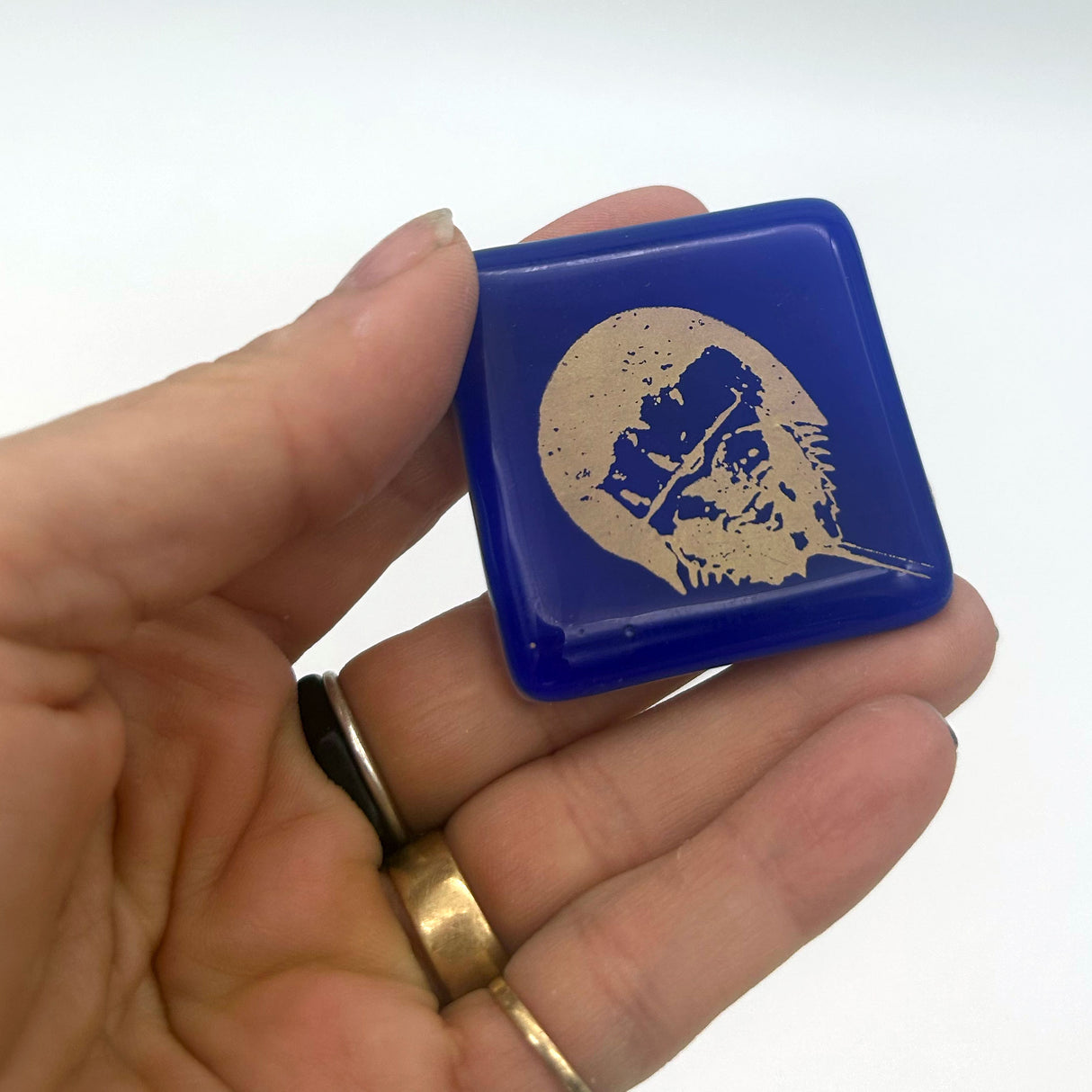 Horseshoe Crab Fused Glass 1.75" Magnet