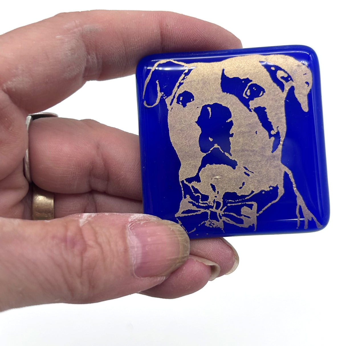 Bully Dog (Scout) Fused Glass 1.75" Handmade Magnet