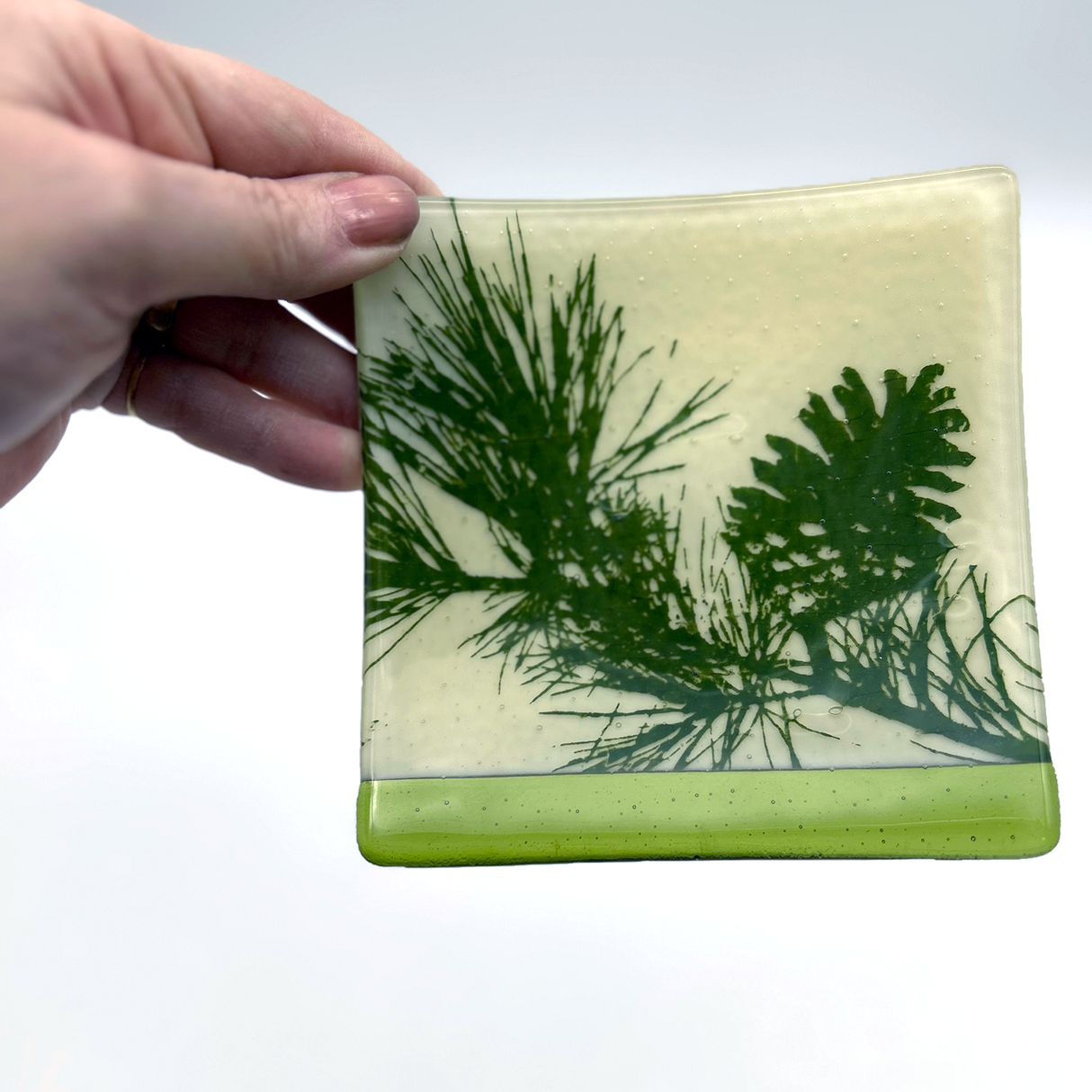 Pine Bough and Cone 4.5" Handmade Fused Glass Catch-all Dish
