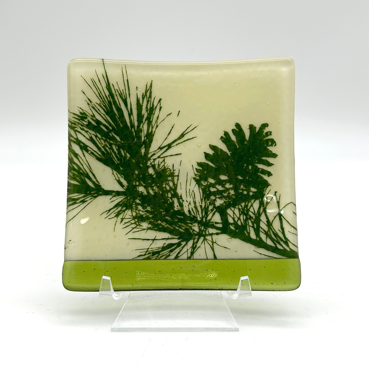 Pine Bough and Cone 4.5" Handmade Fused Glass Catch-all Dish