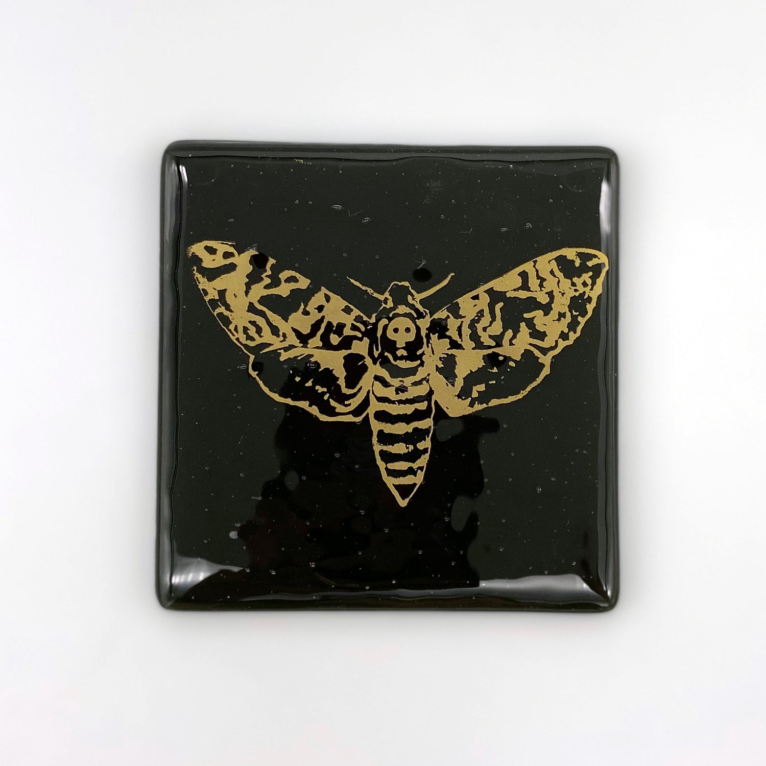 Death's Head Hawkmoth Mystical Fused Glass 4" Single Coaster