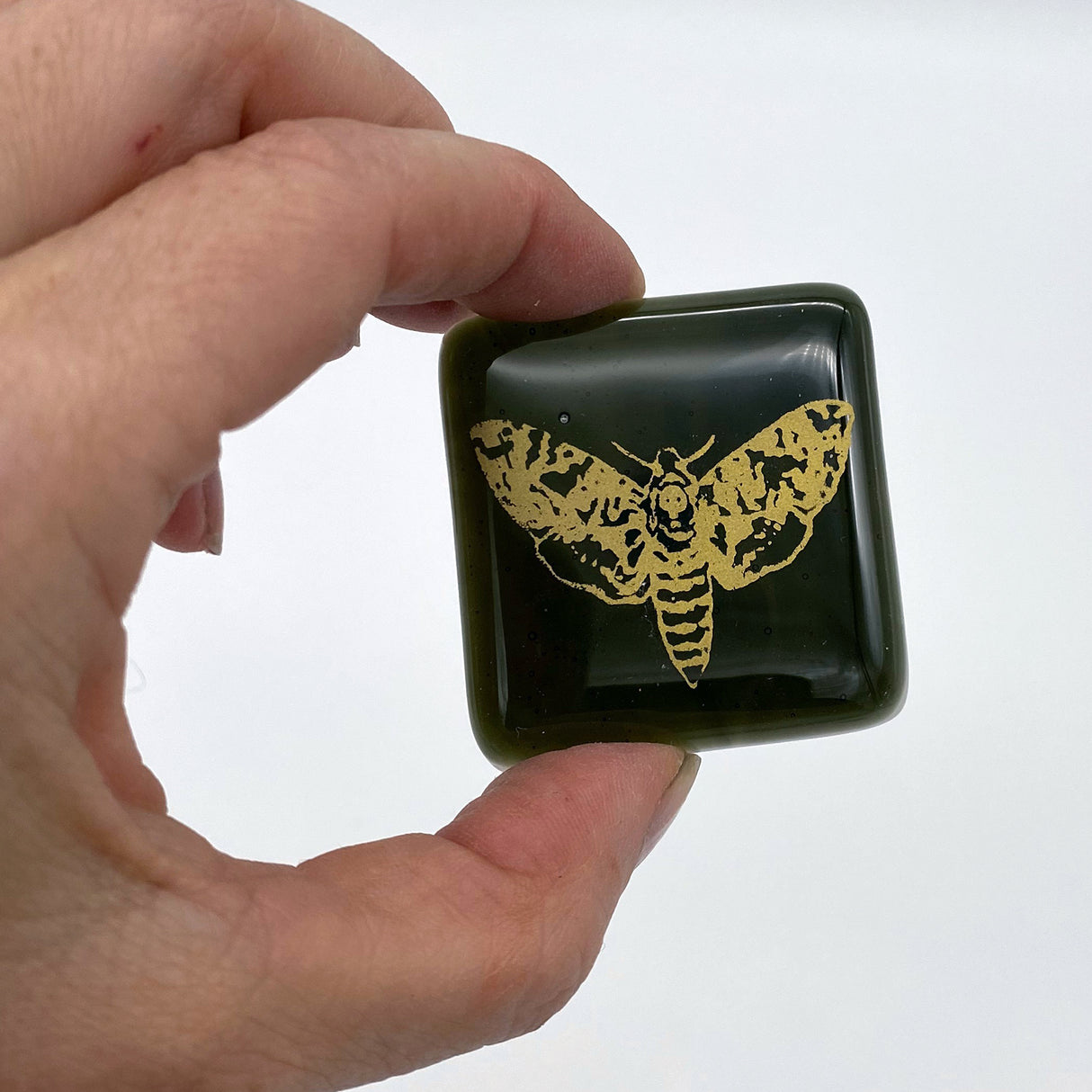Mystical Death's Head Moth Fused Glass 1.75" Magnet