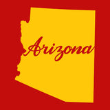 US States Fused Glass 4" Single Coaster - Rainbow Pride or Single Color Background - made to order