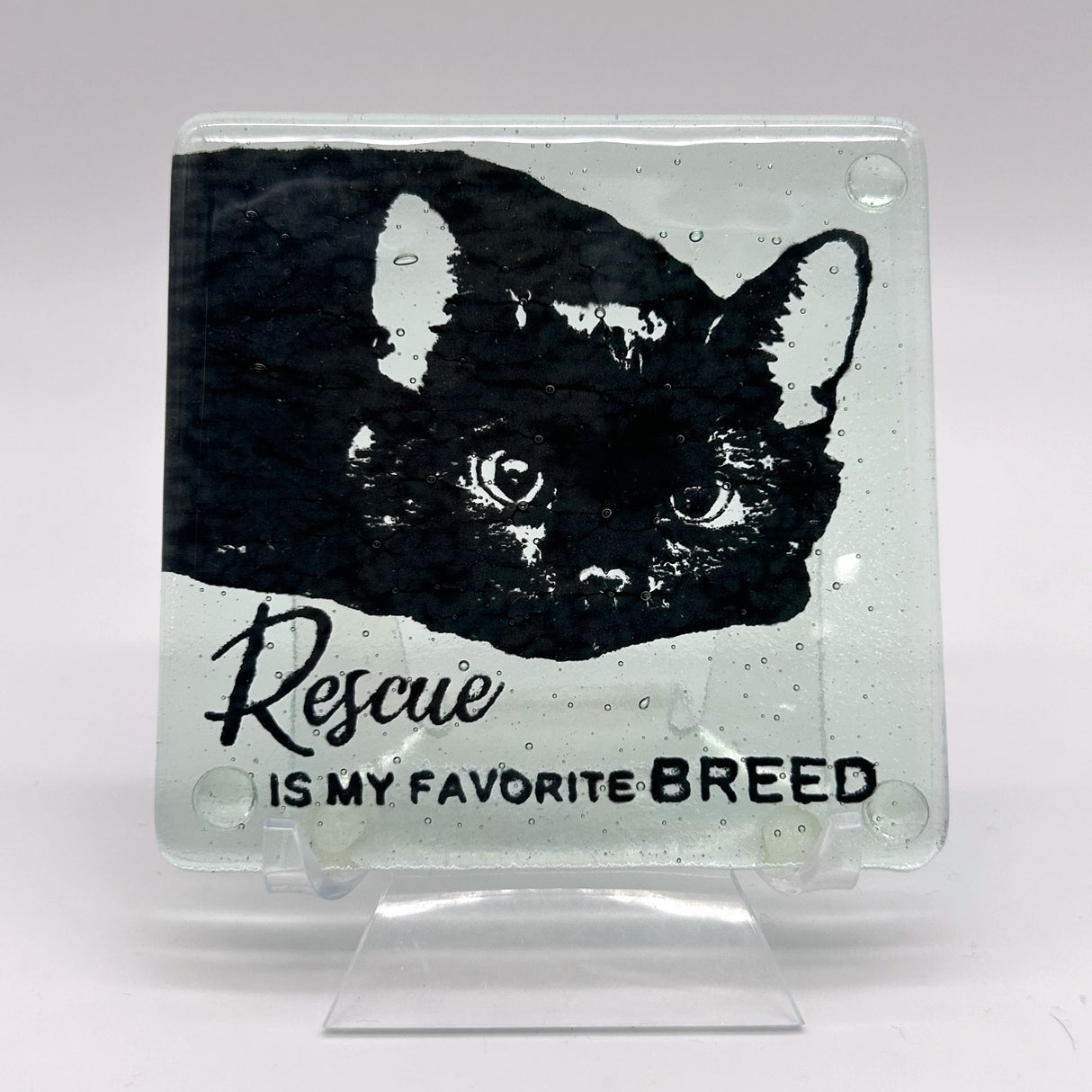 Rescue Is My Favorite Cat Breed Fused Glass 4" Single Coaster