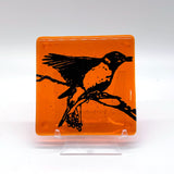 Birds | Robin Fused Glass 4" Single Coaster