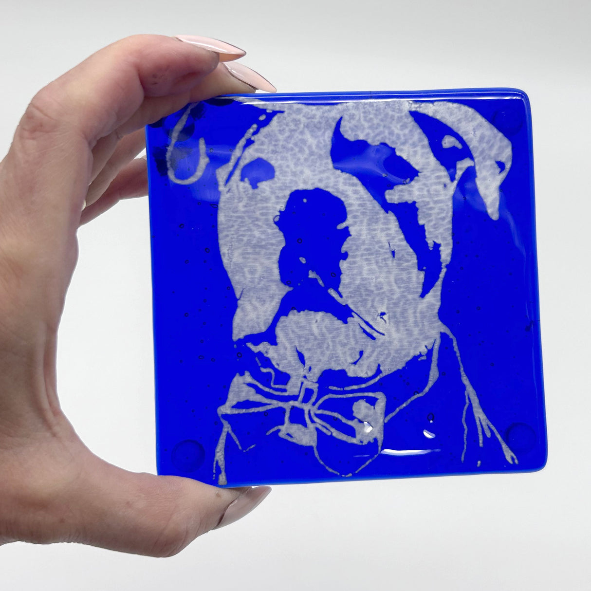 Bully Dog (Scout) Handmade 4" Handmade Fused Glass Coaster