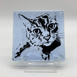 Tabby Cat Handmade 4" Handmade Fused Glass Coaster