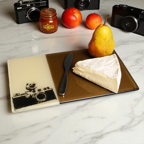 Camera 7x11" Fused Glass Cheese Plate