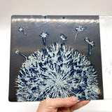Dandelion 7x11" Fused Glass Cheese Plate