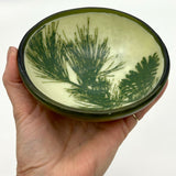 Pine Bough with Pinecone Fused Glass 5" Small Bowl