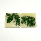 Pine Bough Fused Glass 4" Coaster 2-pack