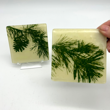 Pine Bough Fused Glass 4" Coaster 2-pack