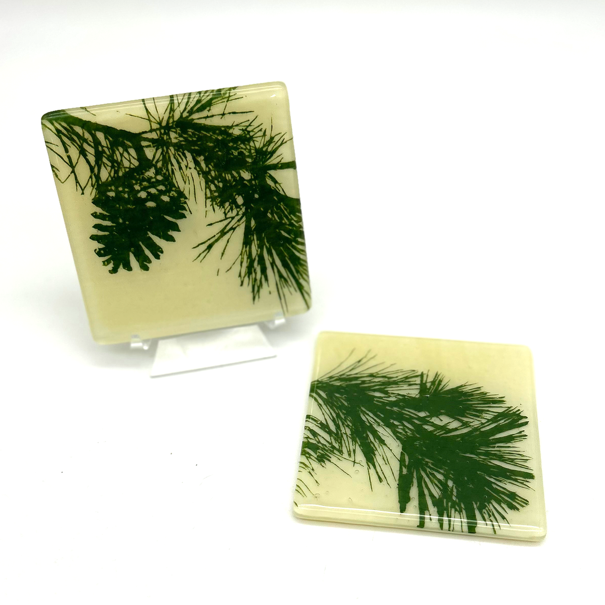 Pine Bough Fused Glass 4" Coaster 2-pack