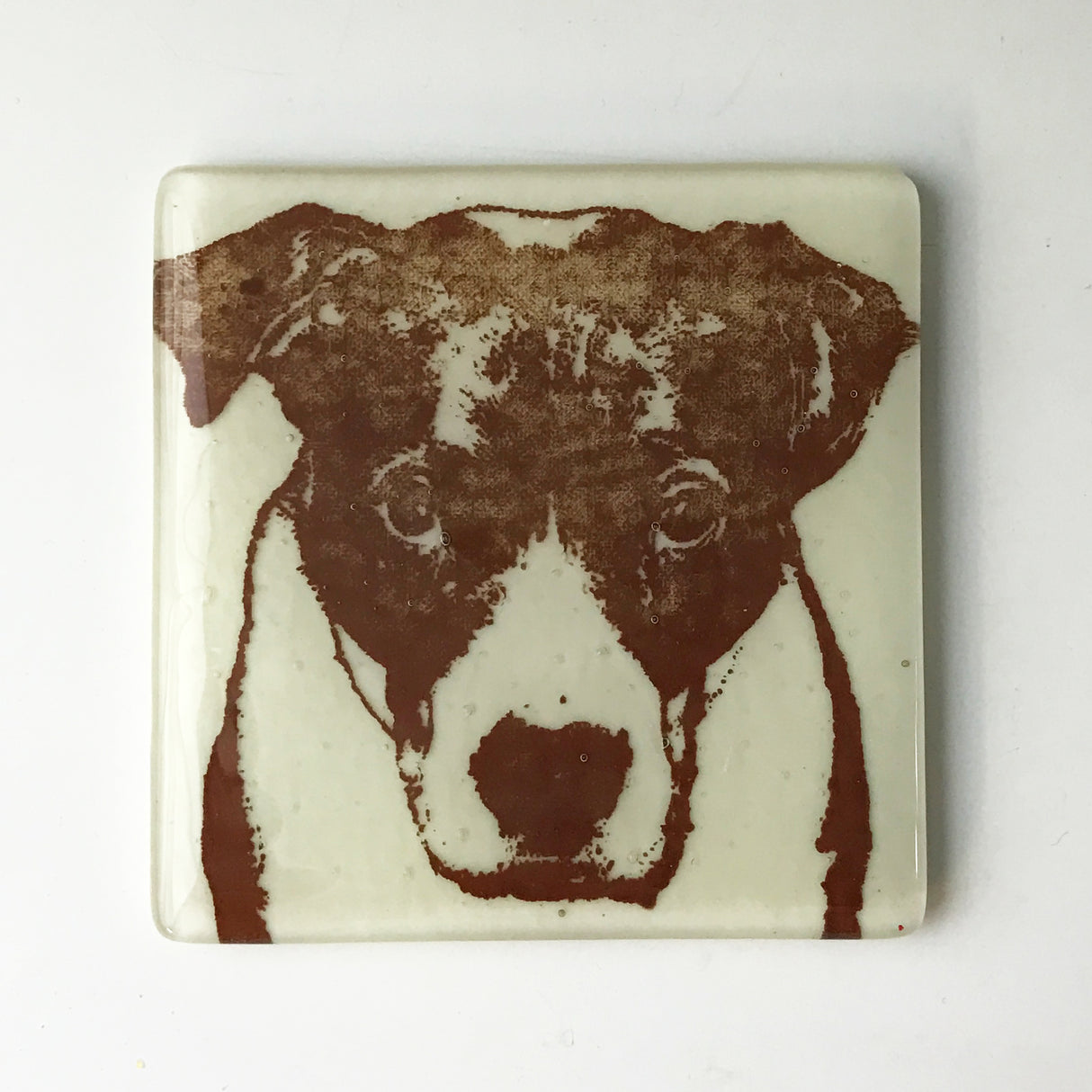 Bully Dog Fused Glass 4" Single Coaster