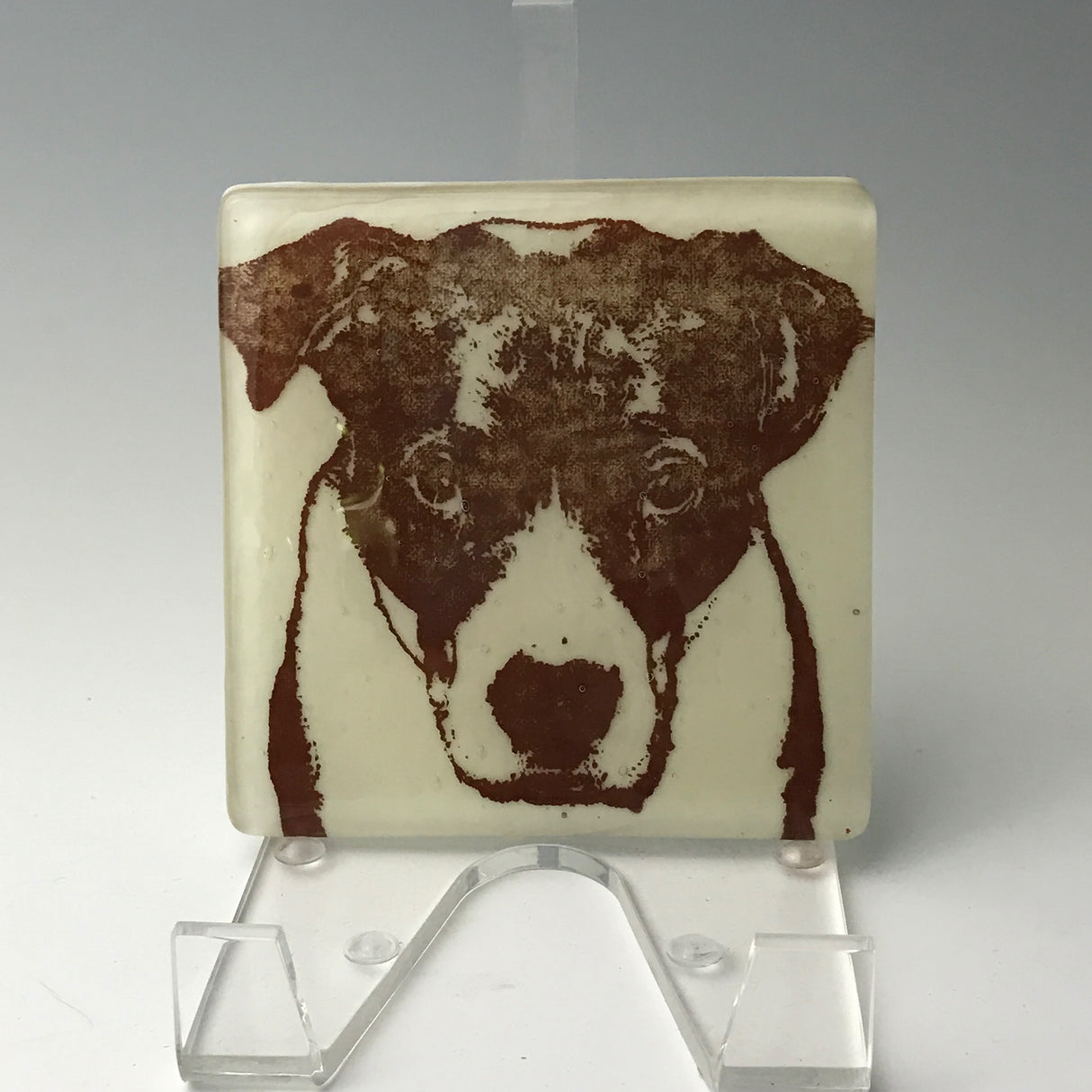 Bully Dog Fused Glass 4" Single Coaster