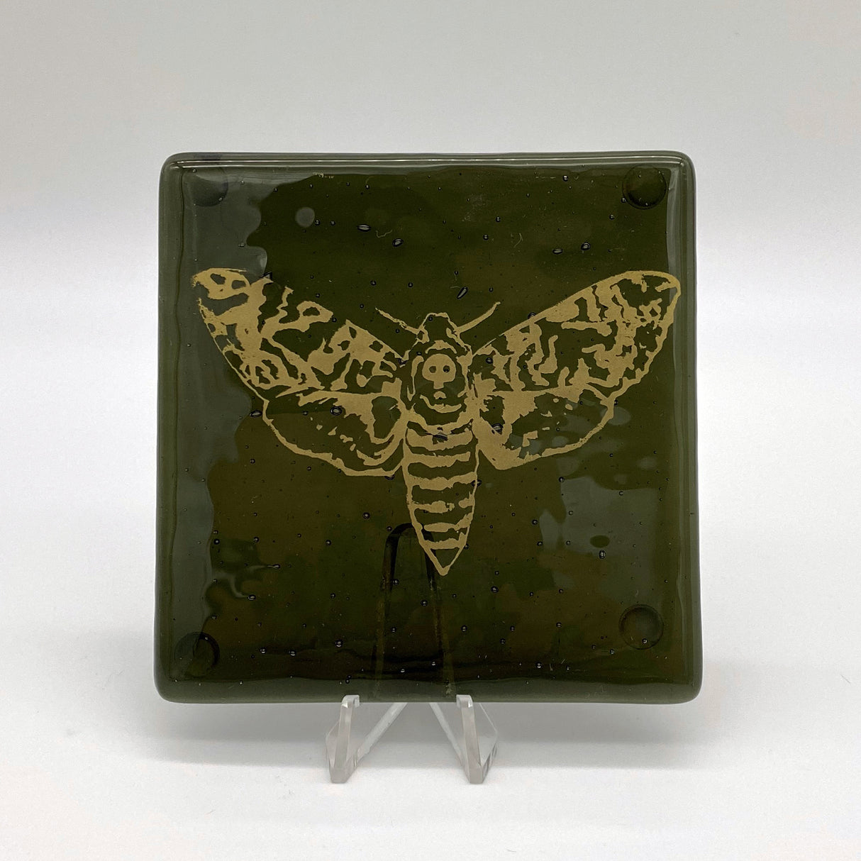 Death's Head Hawkmoth Mystical Fused Glass 4" Single Coaster