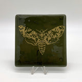 Death's Head Hawkmoth Mystical Fused Glass 4" Single Coaster