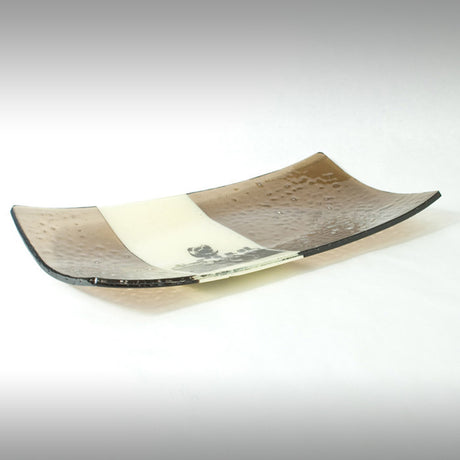 Vintage Camera 15" Long Fused Glass Serving Platter