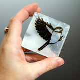 Chickadee 2.25" Fused Glass Ornament